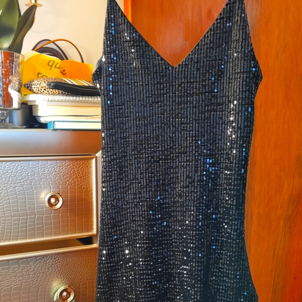 Akira black sequence dress
